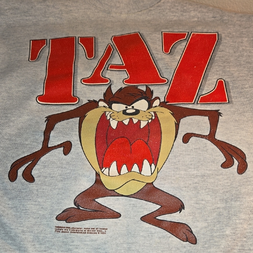 Vintage 1992 Looney Tunes Taz Gray Sweatshirt Velva Sheen Tag Adult Large - Picture 6 of 8